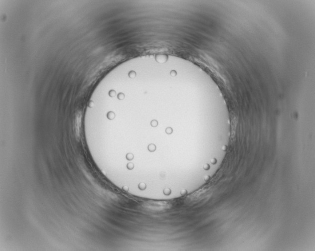 X0000088200118200706051241