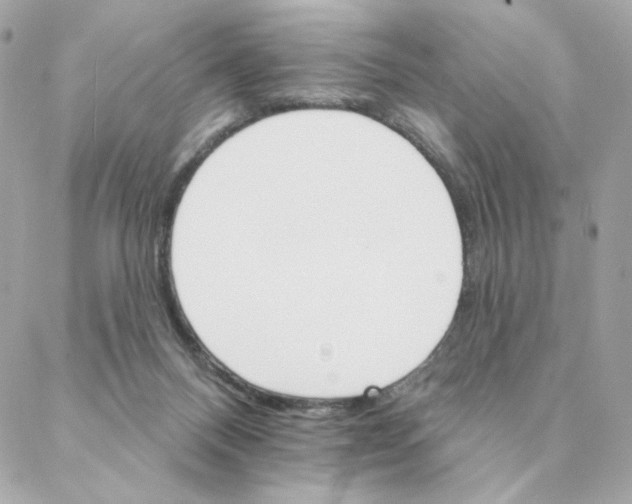 X0000088200120200706051241