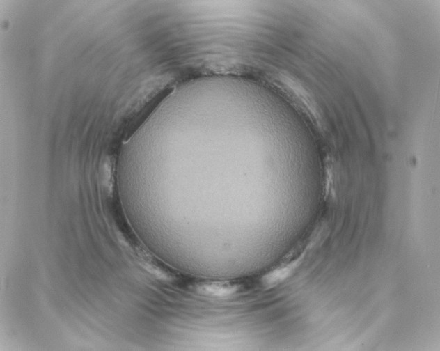 X0000088200121200706051241