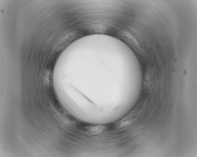 X0000088200122200706051241