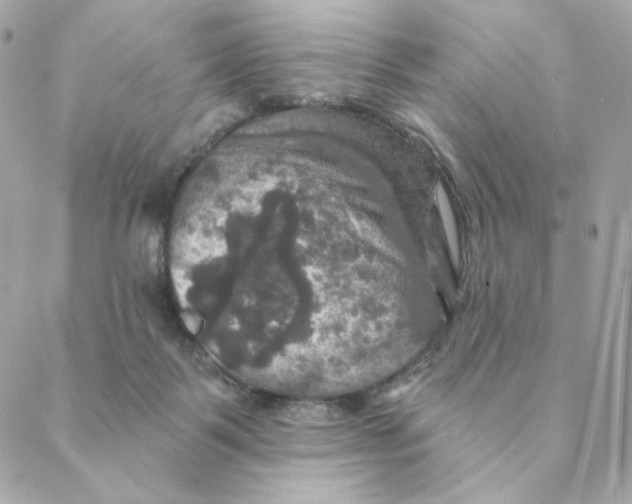 X0000088200123200706051241