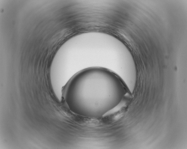 X0000088200125200706051241