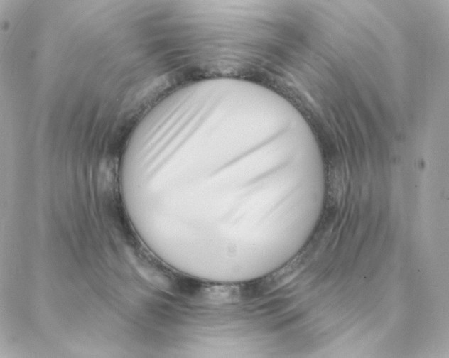X0000088200126200706051241