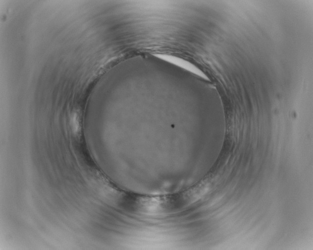 X0000088200131200706051241