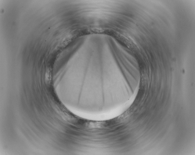 X0000088200134200706051241