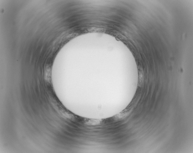 X0000088200138200706051241
