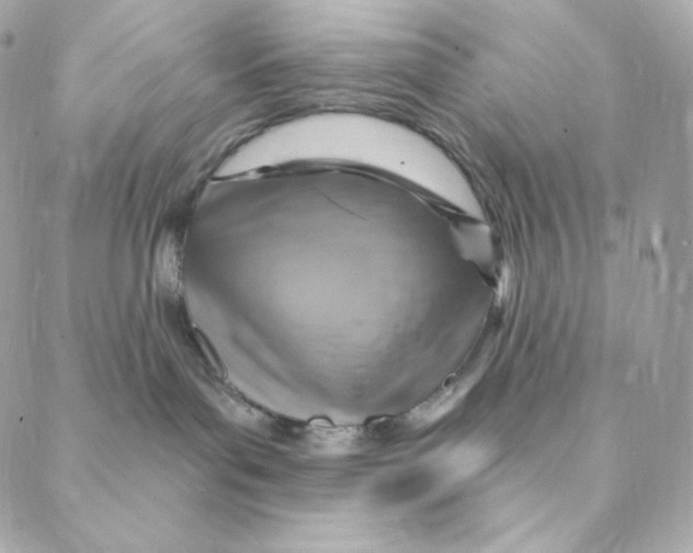 X0000088200143200706051241