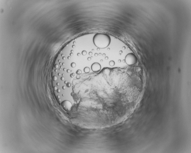 X0000088200145200706051240