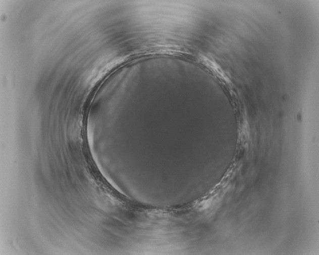 X0000088200146200706051240