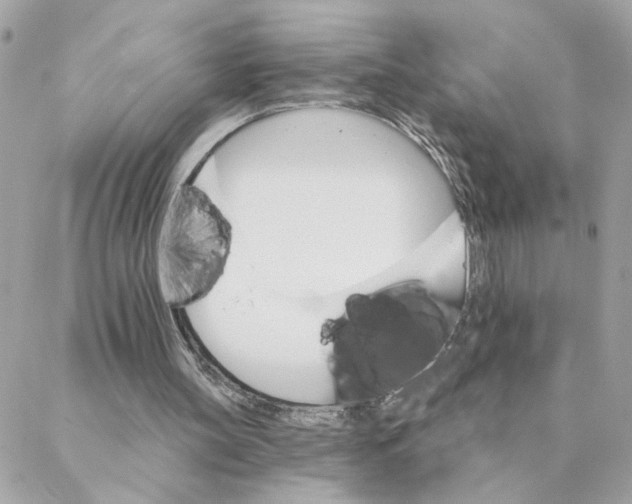 X0000088200147200706051240