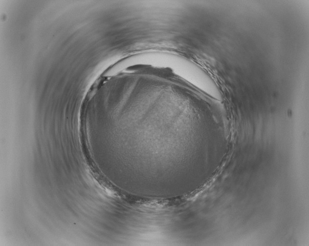 X0000088200148200706051240