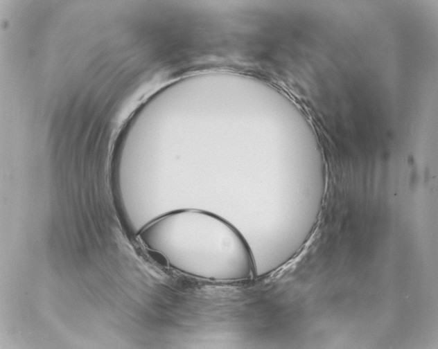 X0000088200150200706051240