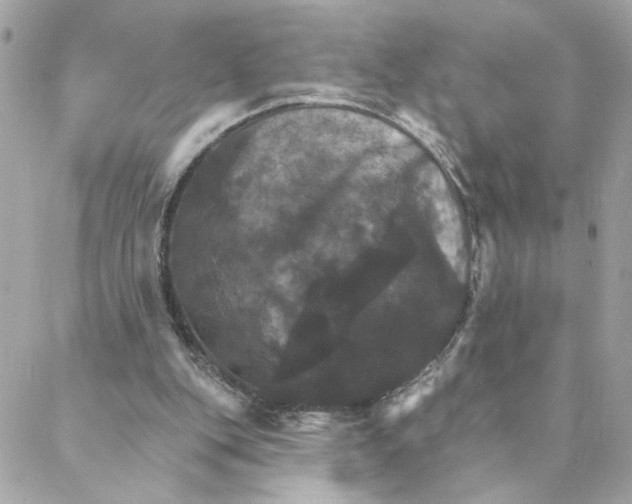 X0000088200151200706051240