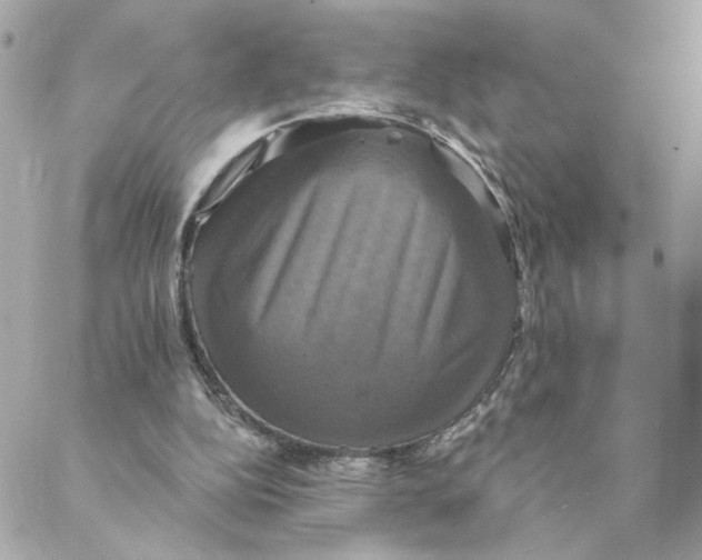 X0000088200152200706051240