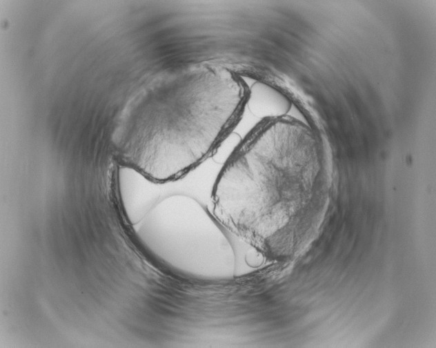 X0000088200153200706051240