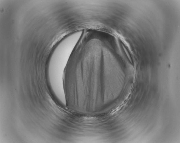 X0000088200154200706051240