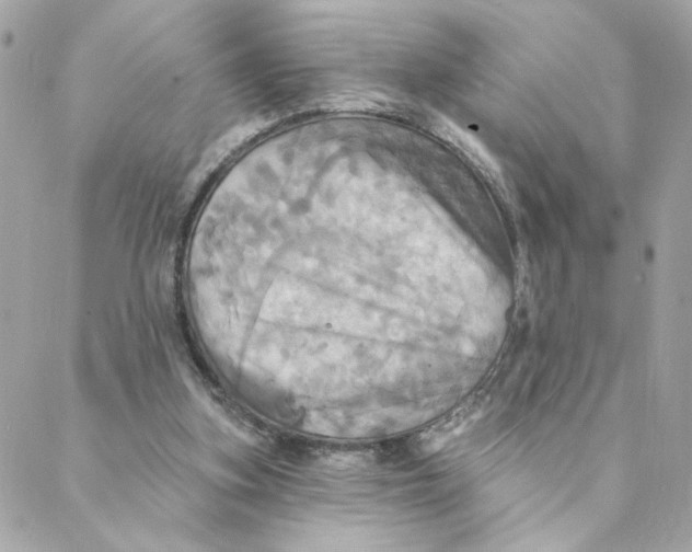 X0000088200155200706051240