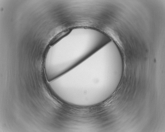 X0000088200156200706051240