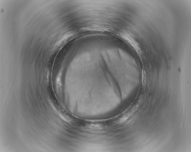 X0000088200157200706051240