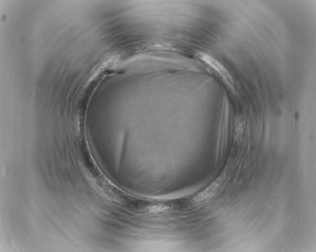 X0000088200158200706051240