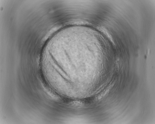 X0000088200159200706051240