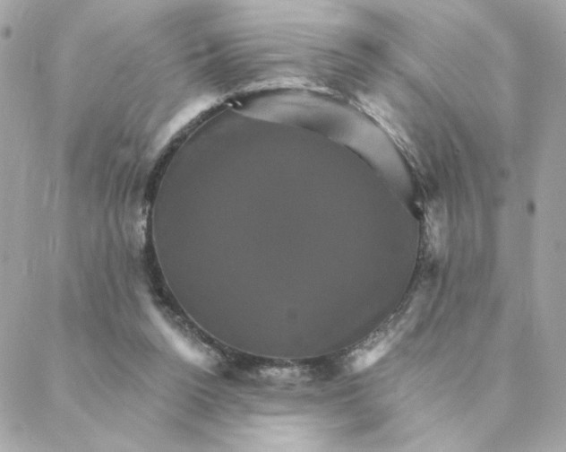 X0000088200160200706051240