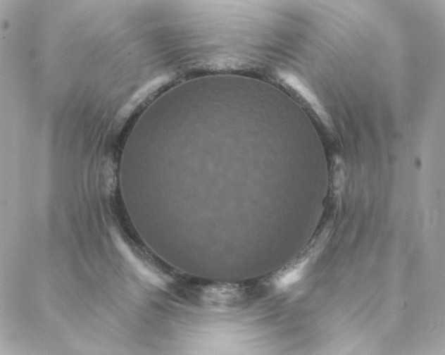 X0000088200164200706051241