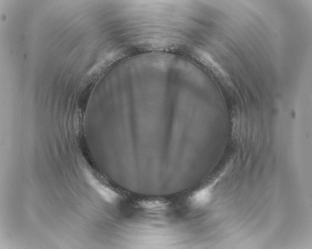 X0000088200165200706051241