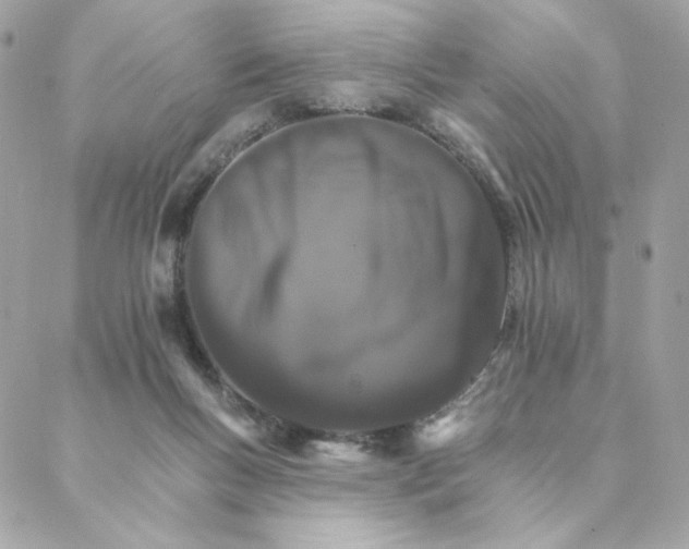 X0000088200167200706051241