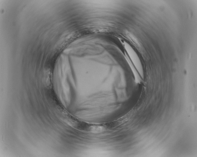X0000088200169200706051241
