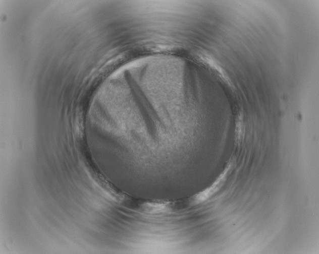 X0000088200170200706051241