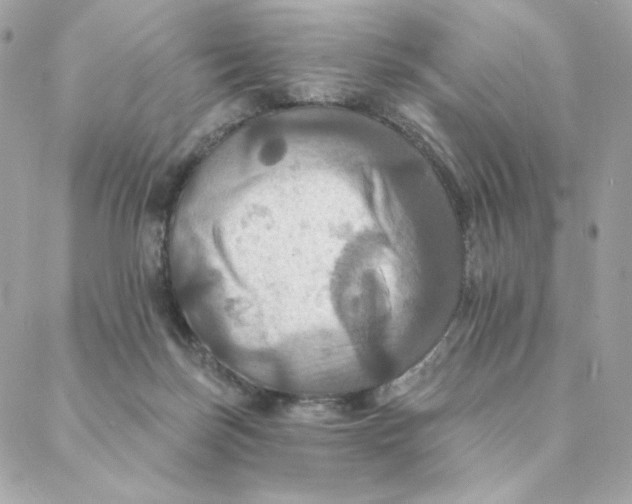 X0000088200171200706051241