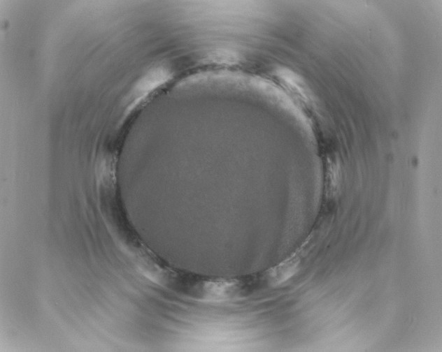 X0000088200172200706051241