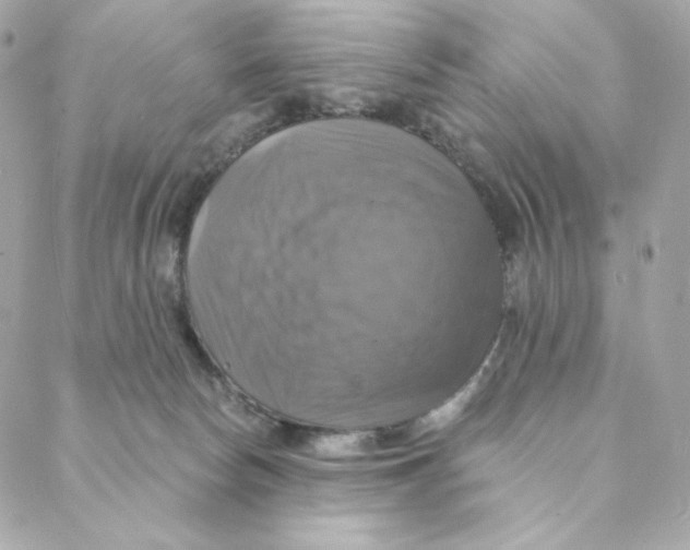X0000088200178200706051241