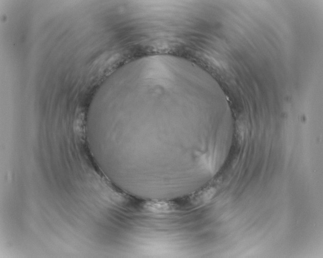 X0000088200181200706051241