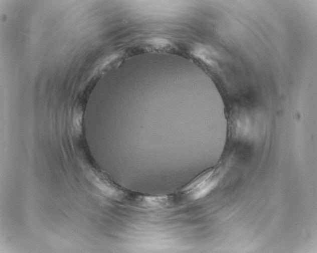 X0000088200188200706051241
