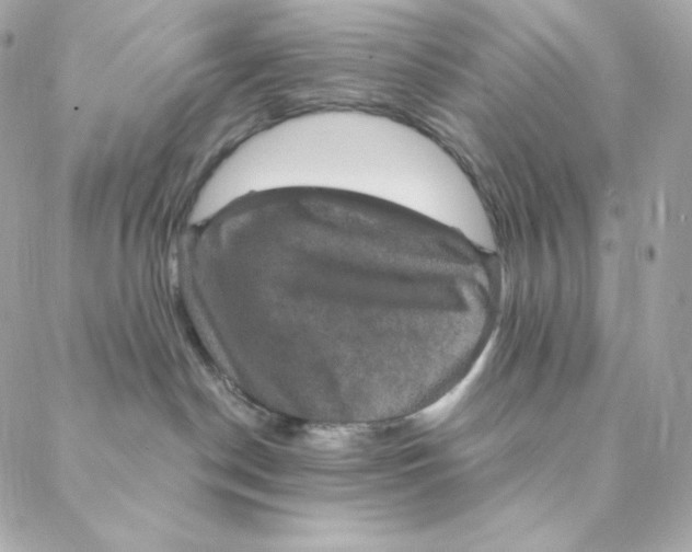 X0000088200190200706051241