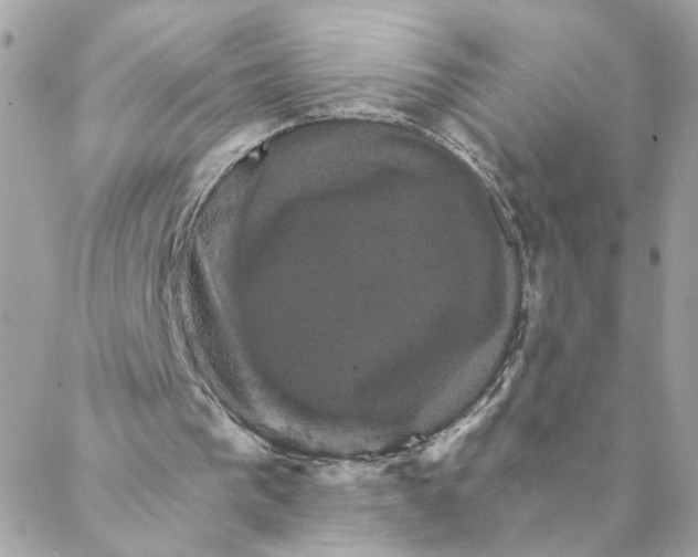 X0000088200193200706051240