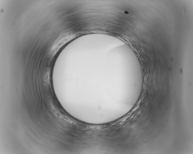 X0000088200194200706051240