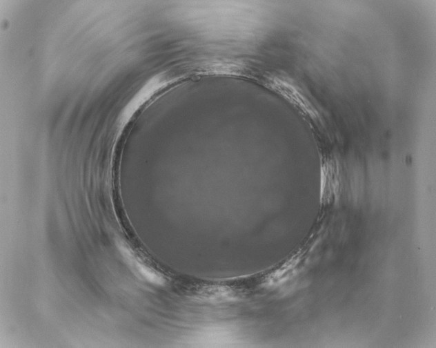 X0000088200195200706051240