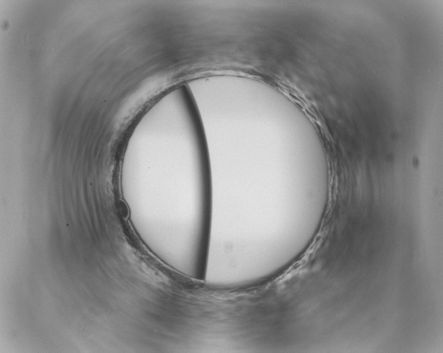 X0000088200197200706051240