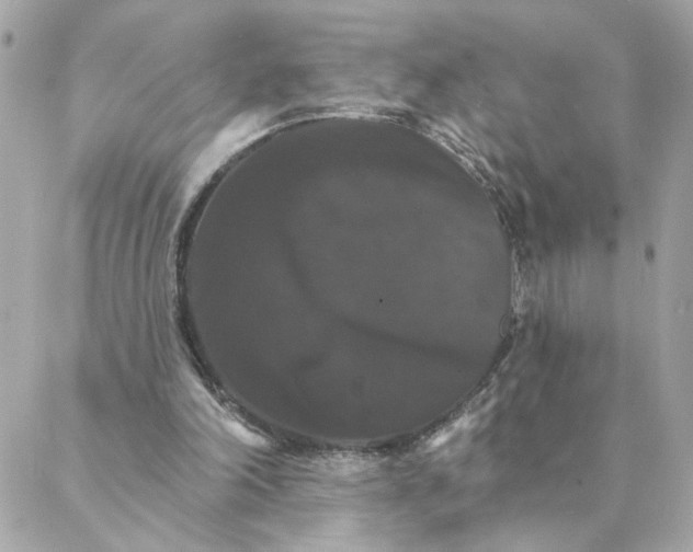 X0000088200198200706051240