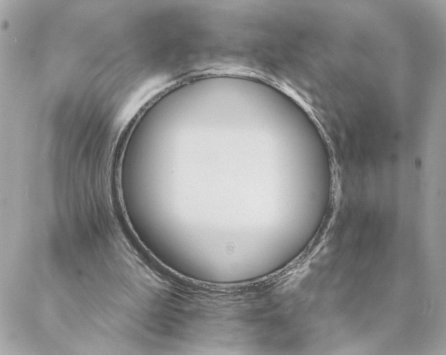 X0000088200199200706051240