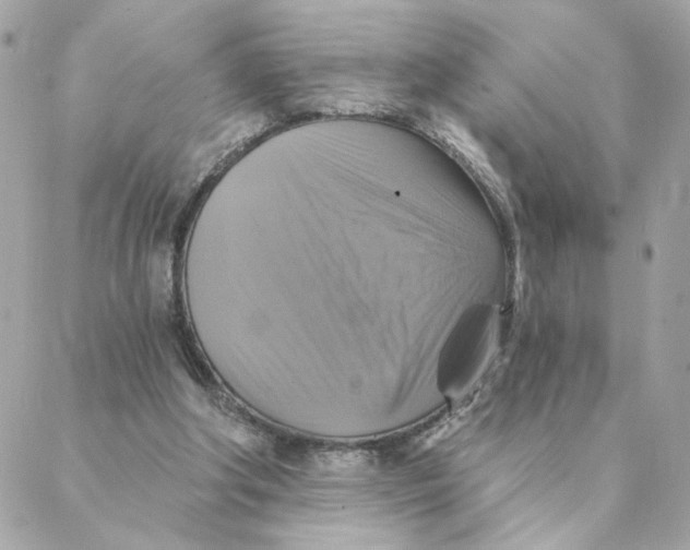 X0000088200202200706051240