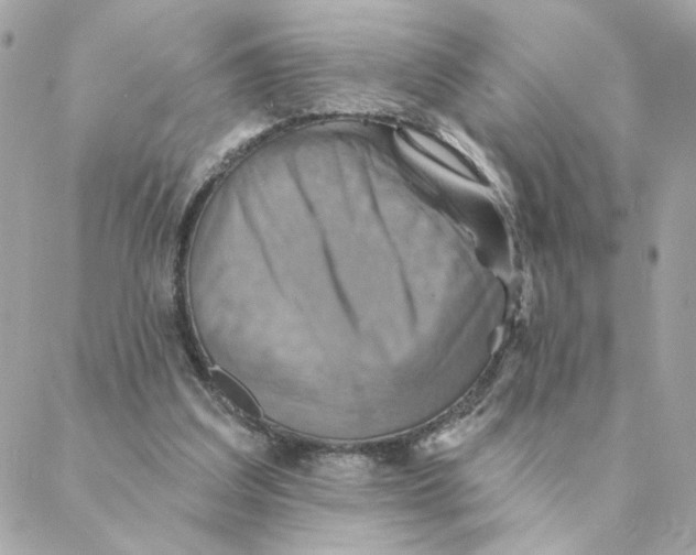 X0000088200203200706051240