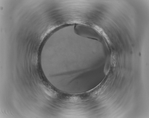 X0000088200204200706051240