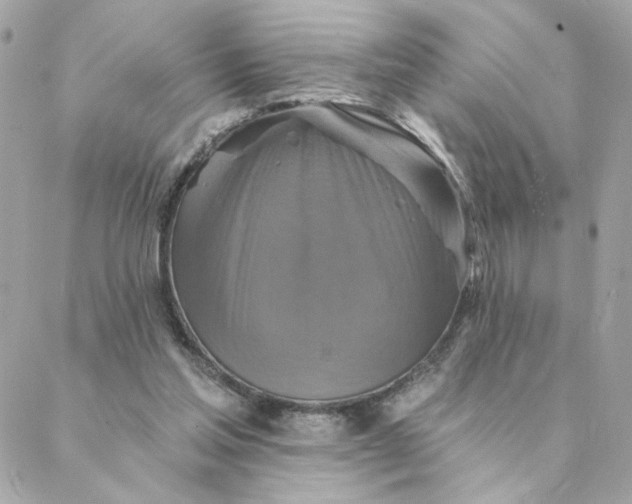 X0000088200205200706051240