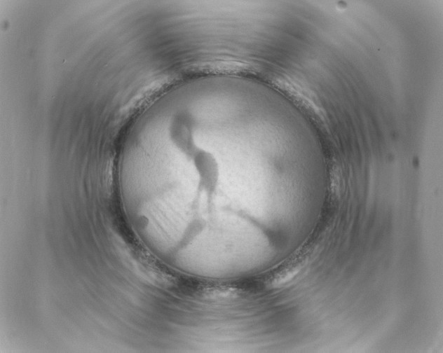 X0000088200206200706051240