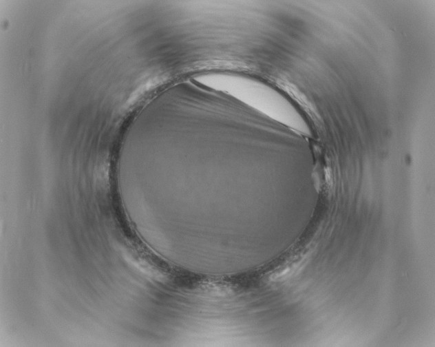 X0000088200207200706051240