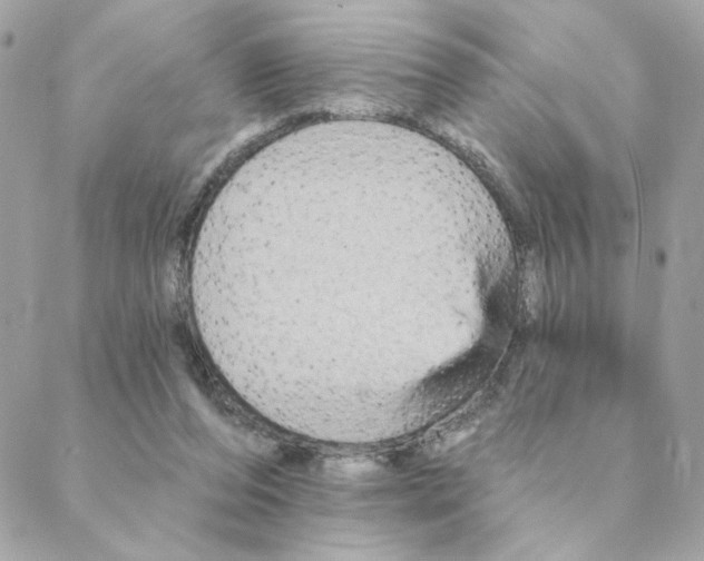 X0000088200208200706051240